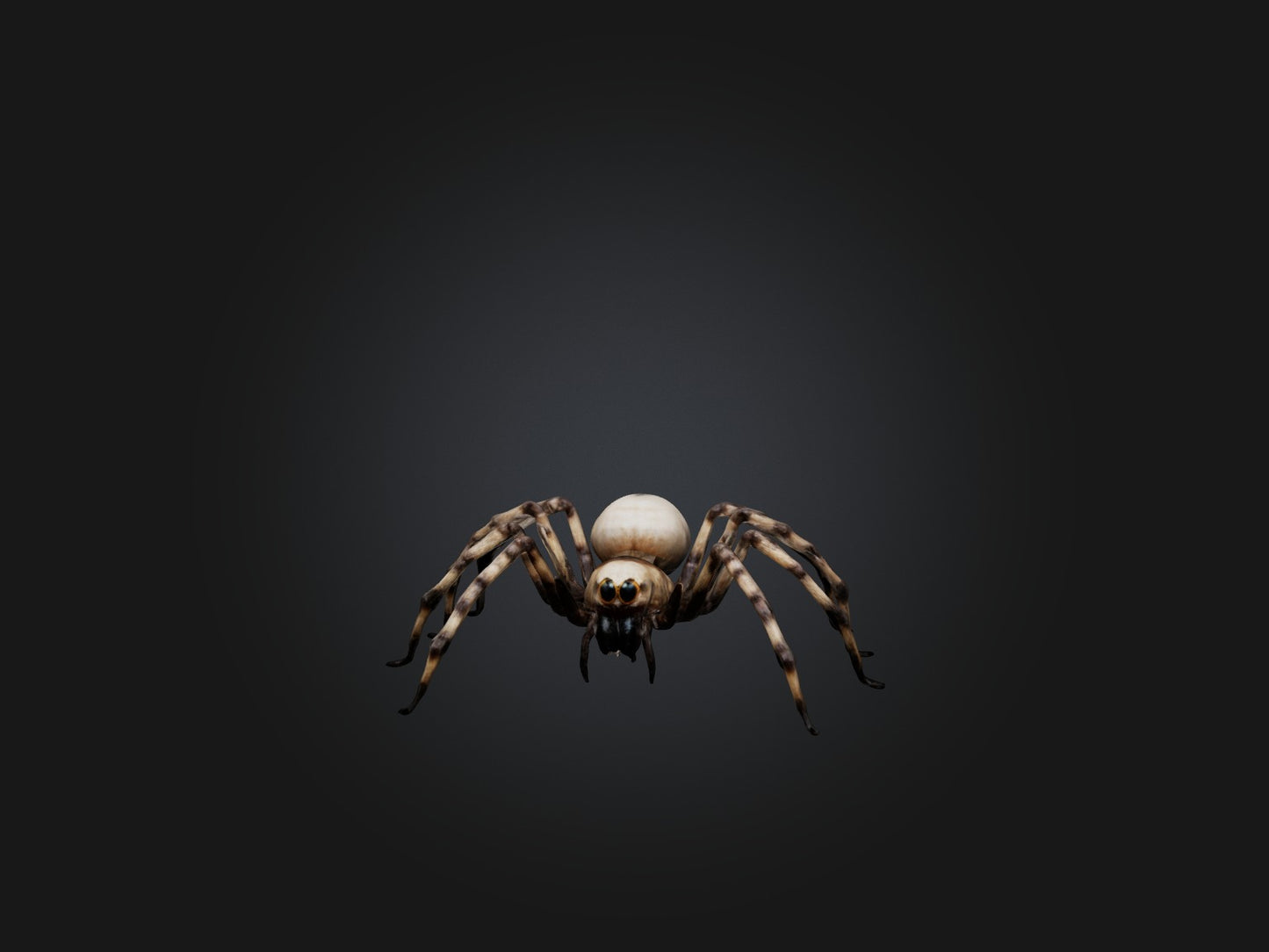 3D model Giant Spider VR / AR / low-poly