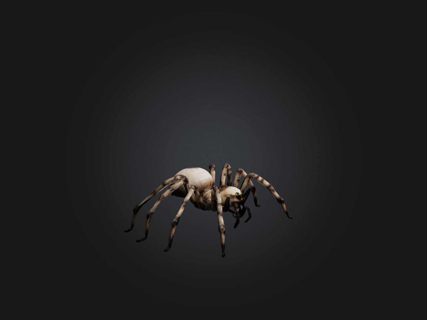 3D model Giant Spider VR / AR / low-poly