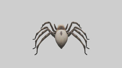 3D model Giant Spider VR / AR / low-poly