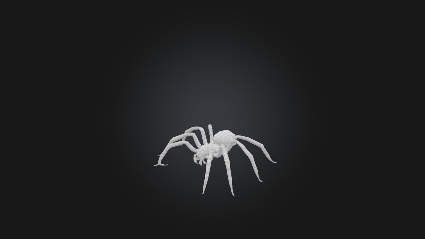 3D model Giant Spider VR / AR / low-poly