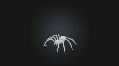 3D model Giant Spider VR / AR / low-poly