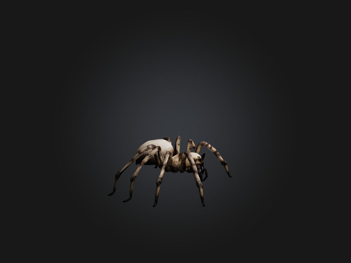 3D model Giant Spider VR / AR / low-poly