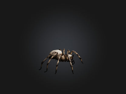 3D model Giant Spider VR / AR / low-poly