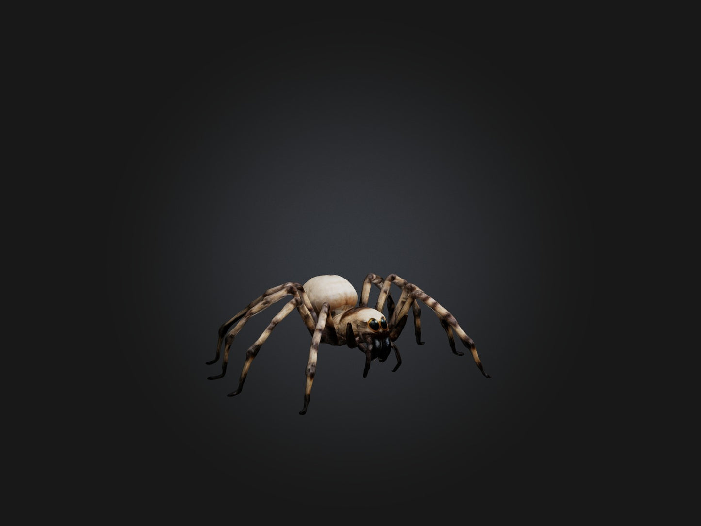 3D model Giant Spider VR / AR / low-poly