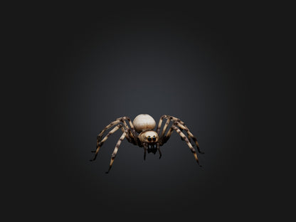 3D model Giant Spider VR / AR / low-poly