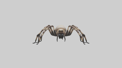 3D model Giant Spider VR / AR / low-poly