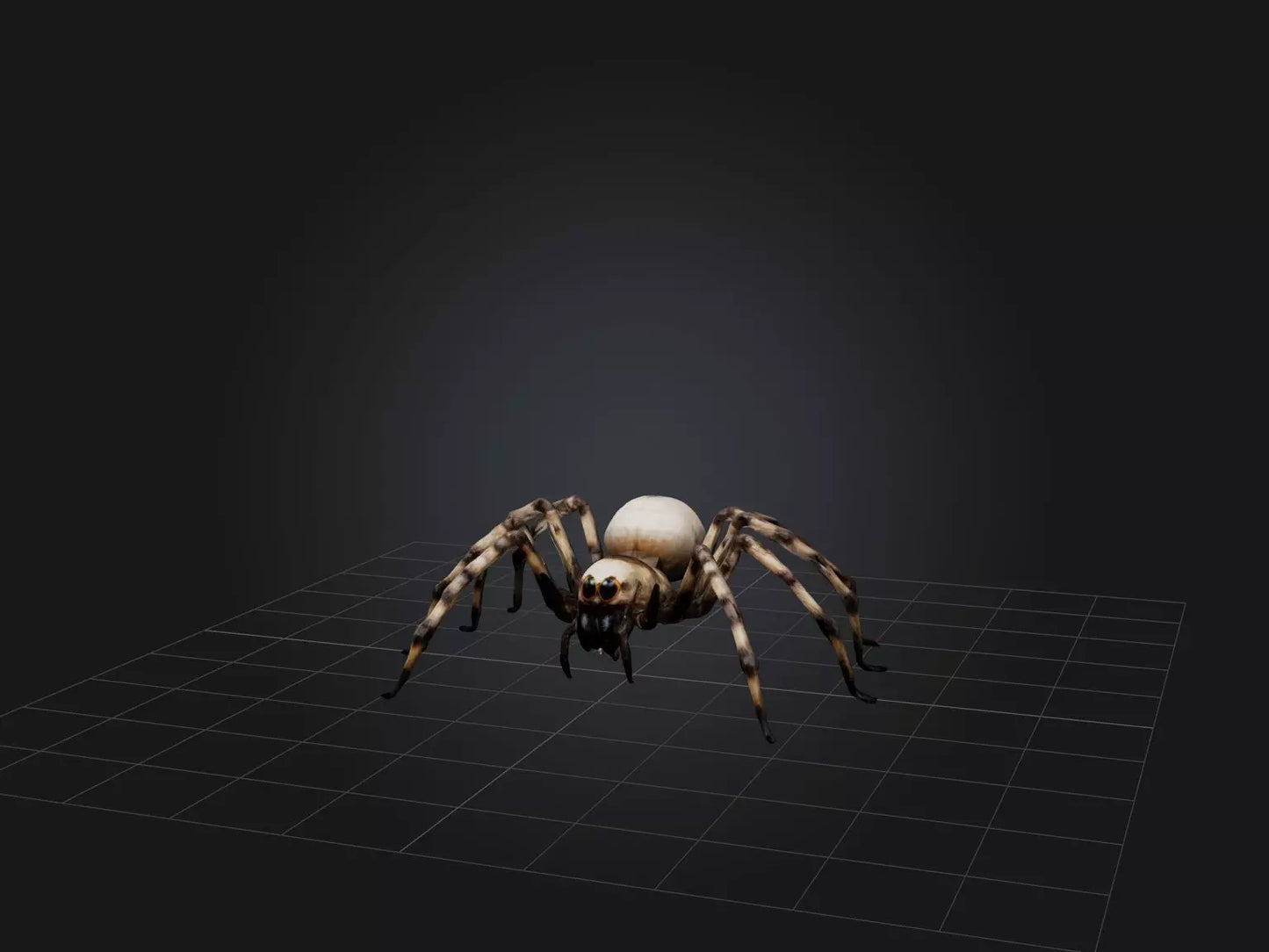 3D model Giant Spider VR / AR / low-poly