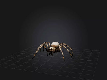 3D model Giant Spider VR / AR / low-poly