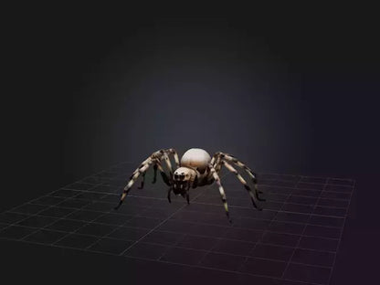 3D model Giant Spider VR / AR / low-poly
