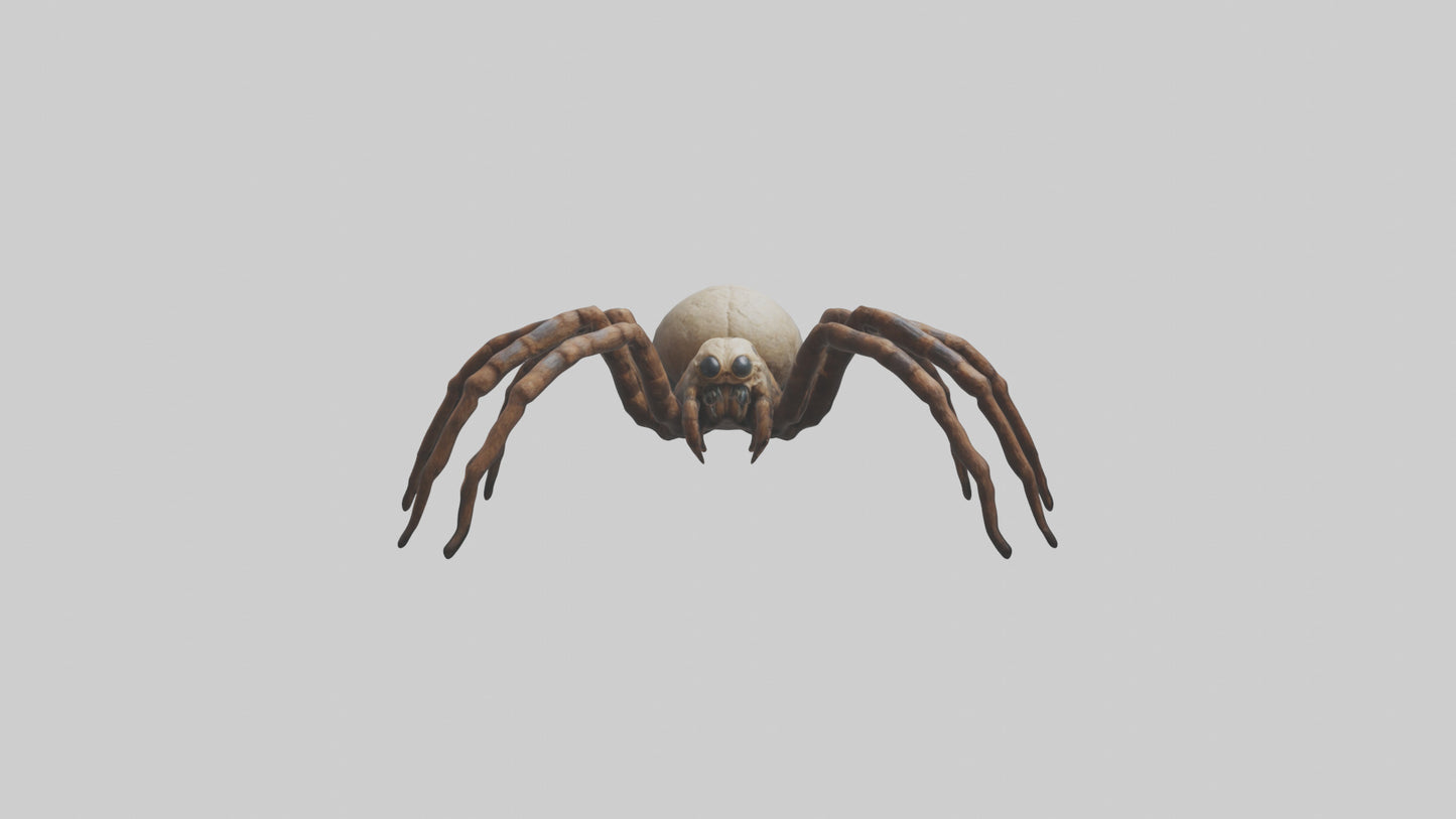 Giant Spider model VR / AR / low-poly