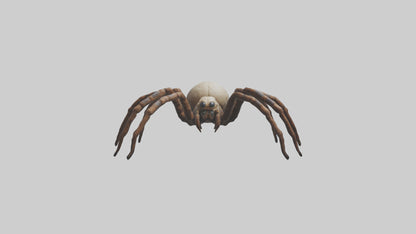 Giant Spider model VR / AR / low-poly