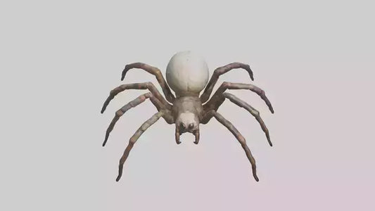 Giant Spider model VR / AR / low-poly