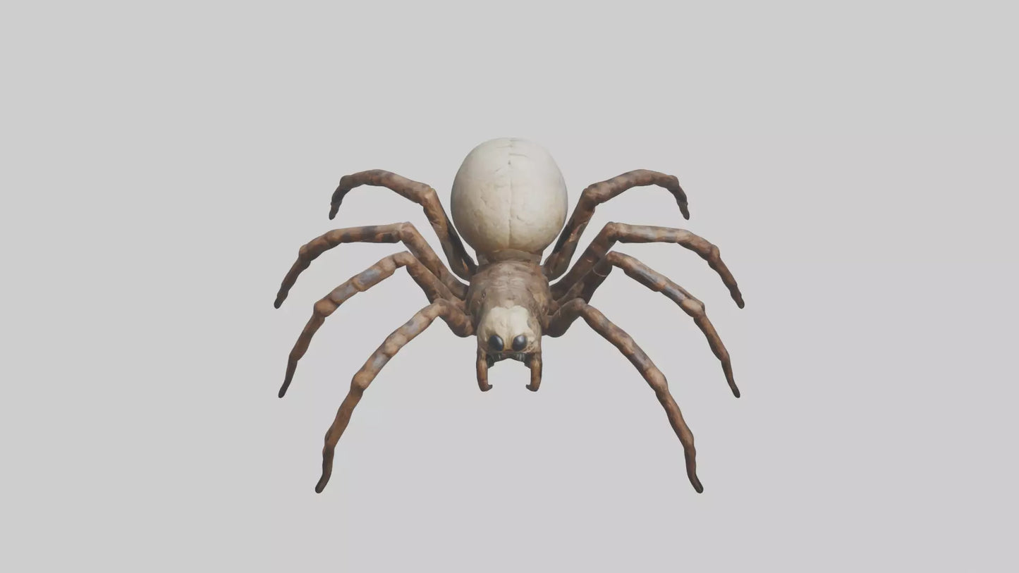 Giant Spider model VR / AR / low-poly