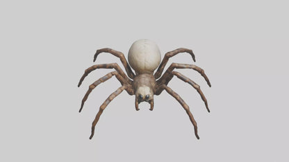 Giant Spider model VR / AR / low-poly