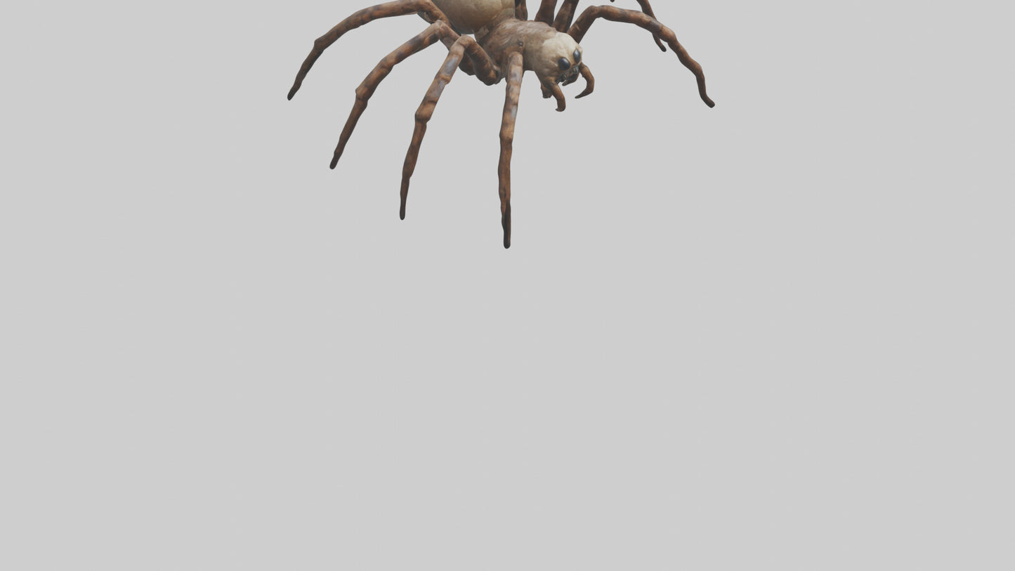 Giant Spider model VR / AR / low-poly