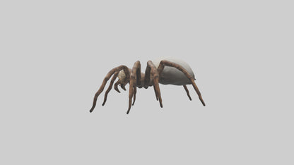 Giant Spider model VR / AR / low-poly