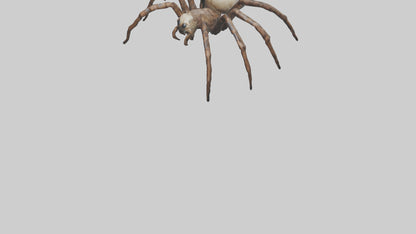 Giant Spider model VR / AR / low-poly