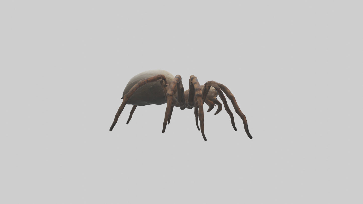 Giant Spider model VR / AR / low-poly