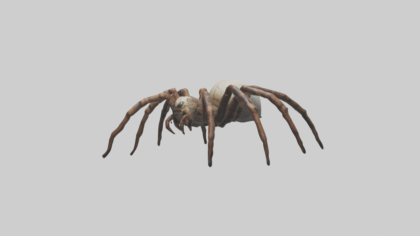Giant Spider model VR / AR / low-poly