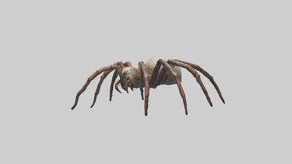 Giant Spider model VR / AR / low-poly