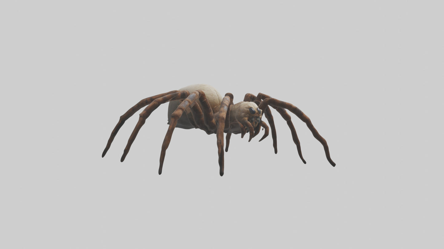Giant Spider model VR / AR / low-poly