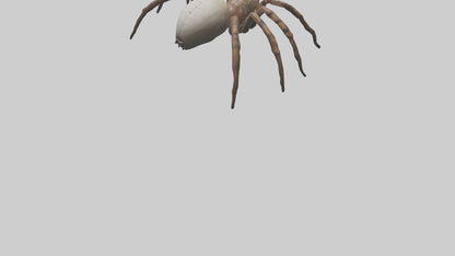 Giant Spider model VR / AR / low-poly
