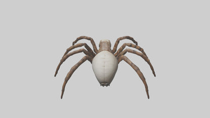 Giant Spider model VR / AR / low-poly