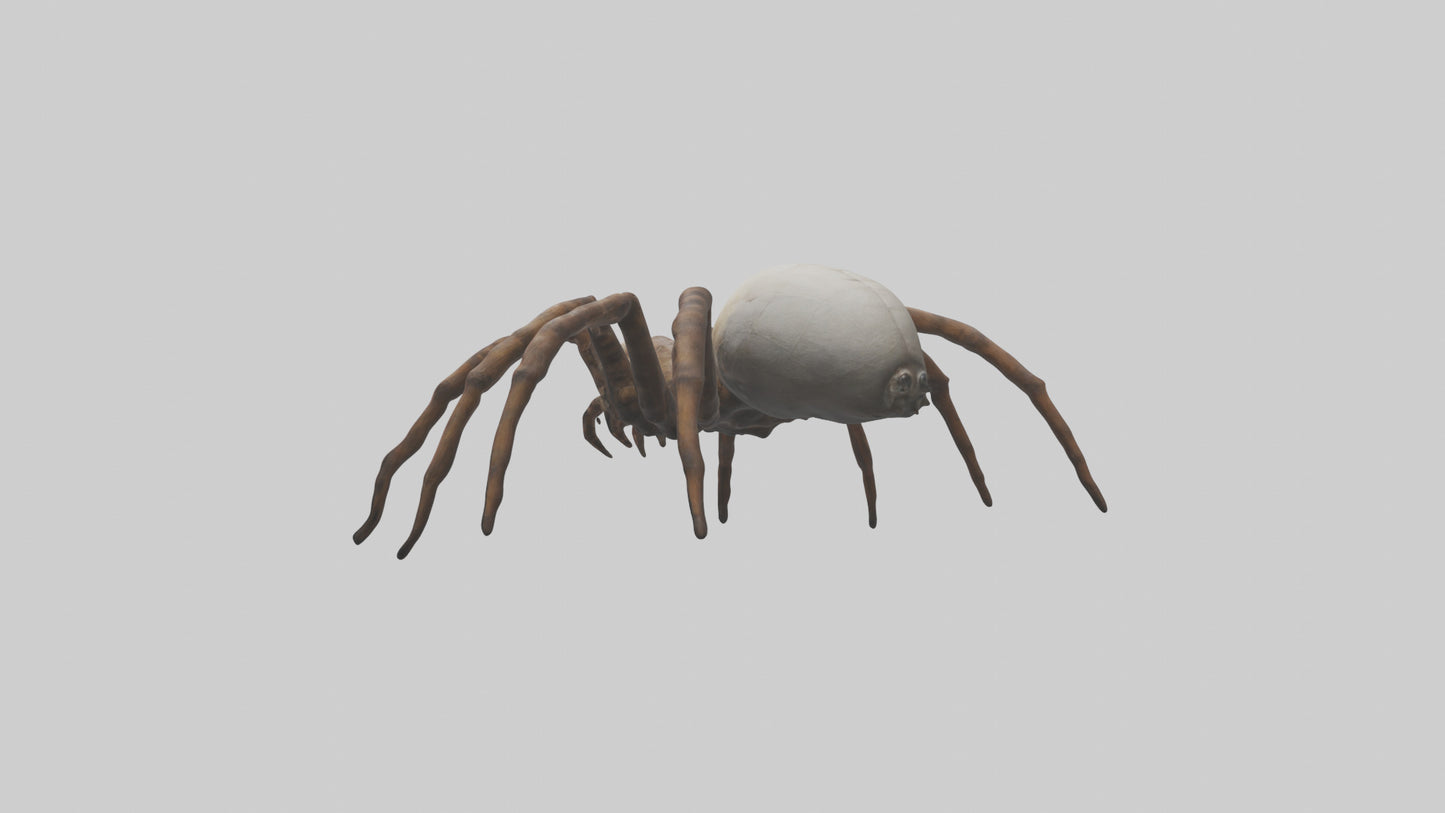 Giant Spider model VR / AR / low-poly