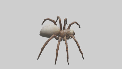 Giant Spider model VR / AR / low-poly