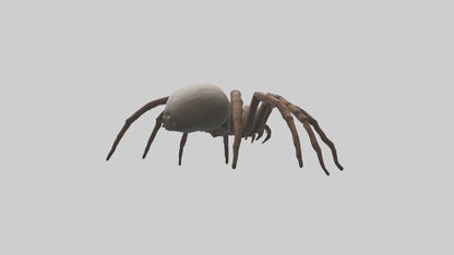 Giant Spider model VR / AR / low-poly