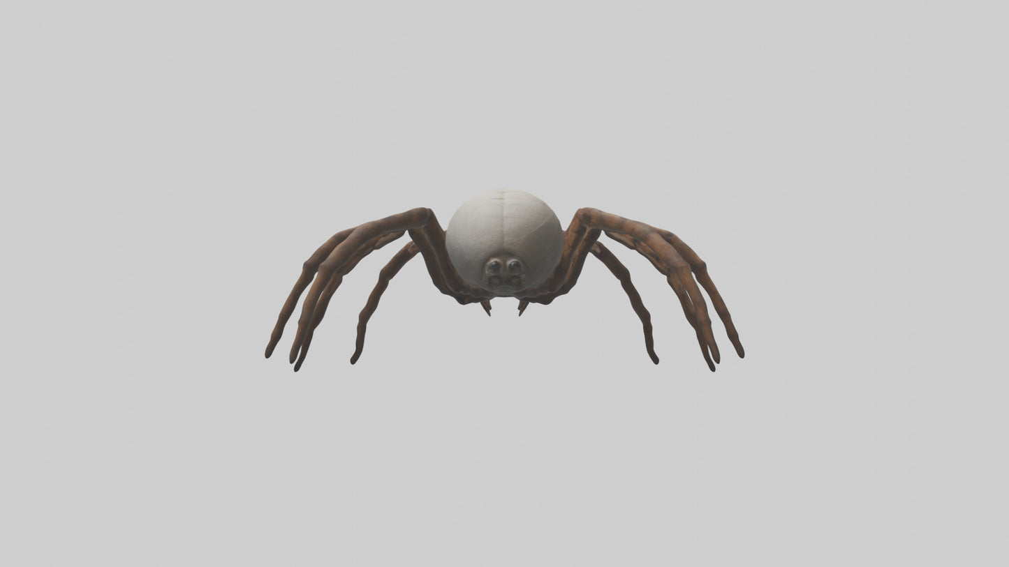 Giant Spider model VR / AR / low-poly