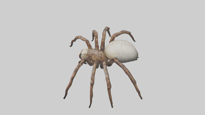 Giant Spider model VR / AR / low-poly