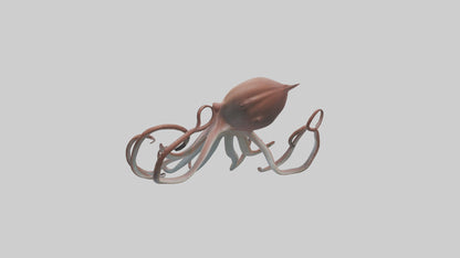 3D model Giant Squid gliding model VR / AR / low-poly