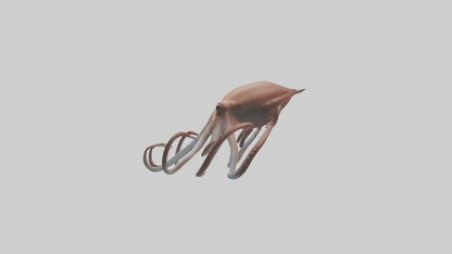 3D model Giant Squid gliding model VR / AR / low-poly