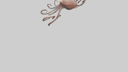 3D model Giant Squid gliding model VR / AR / low-poly