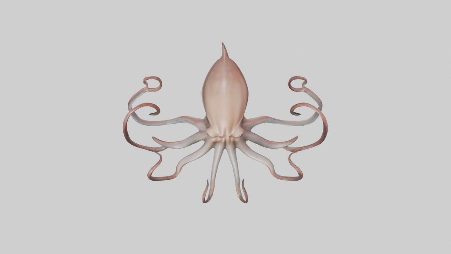 3D model Giant Squid gliding model VR / AR / low-poly