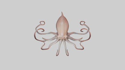 3D model Giant Squid gliding model VR / AR / low-poly