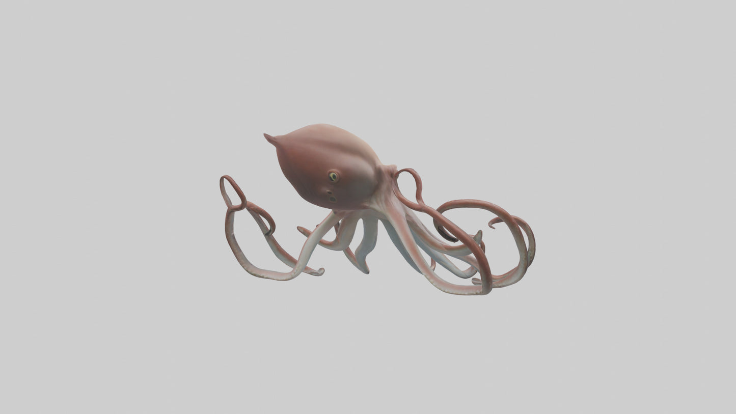 3D model Giant Squid gliding model VR / AR / low-poly