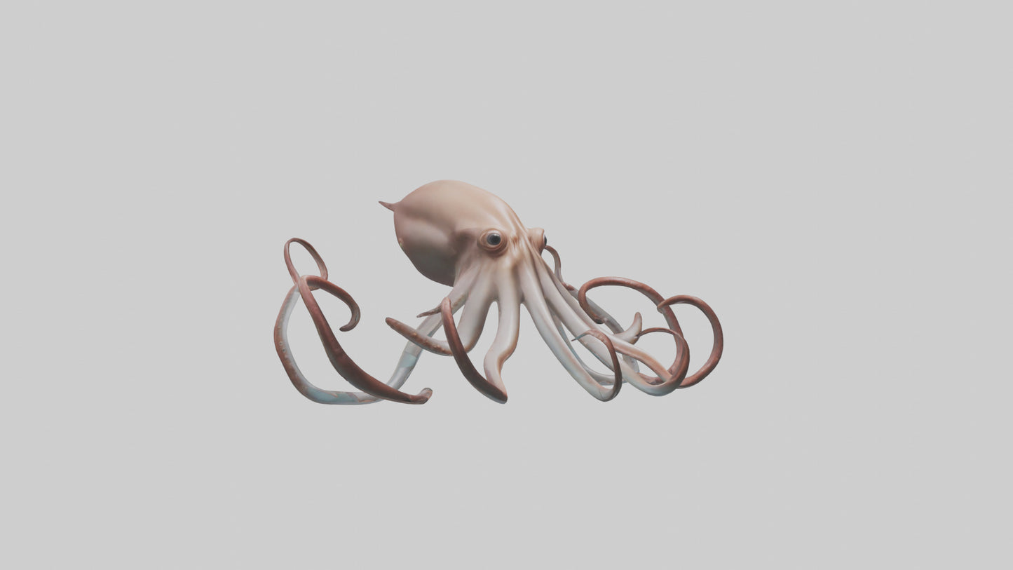 3D model Giant Squid gliding model VR / AR / low-poly