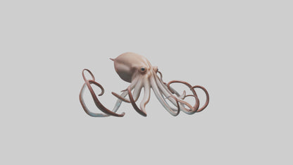 3D model Giant Squid gliding model VR / AR / low-poly
