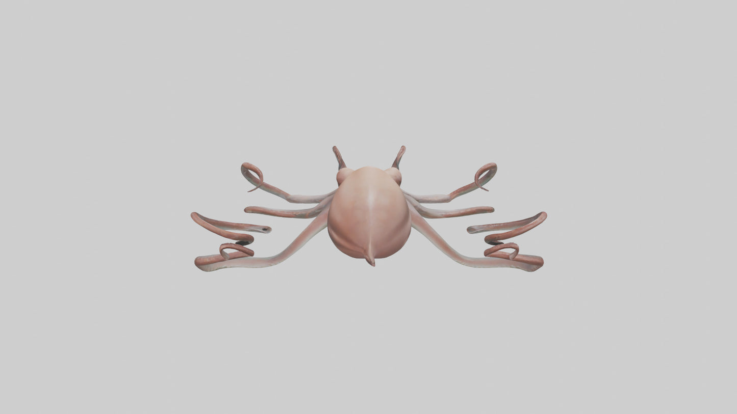 3D model Giant Squid gliding model VR / AR / low-poly