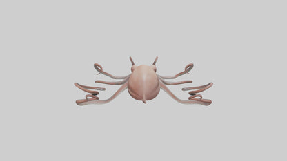 3D model Giant Squid gliding model VR / AR / low-poly
