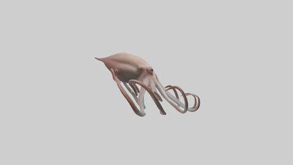 3D model Giant Squid gliding model VR / AR / low-poly