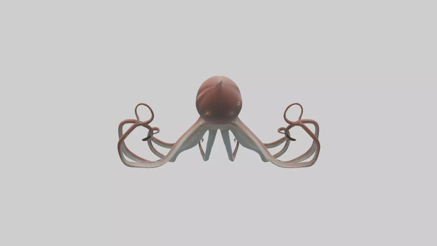 3D model Giant Squid gliding model VR / AR / low-poly