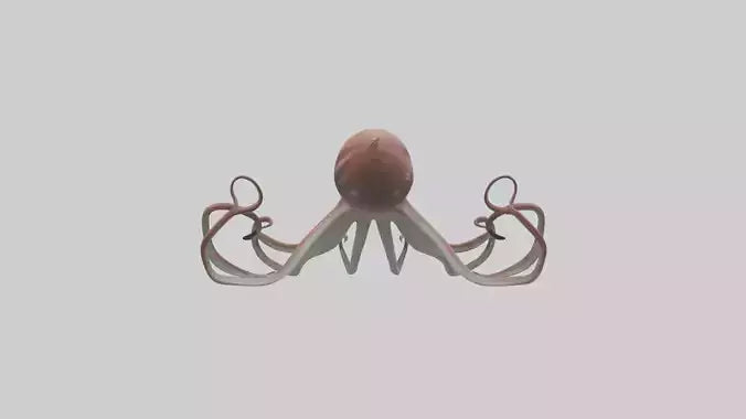 3D model Giant Squid gliding model VR / AR / low-poly