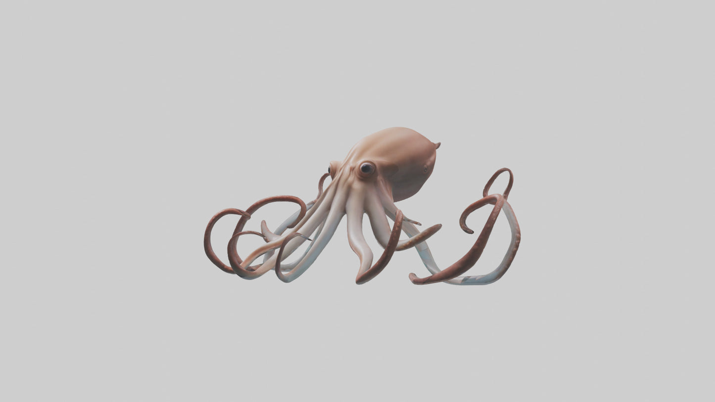 3D model Giant Squid gliding model VR / AR / low-poly