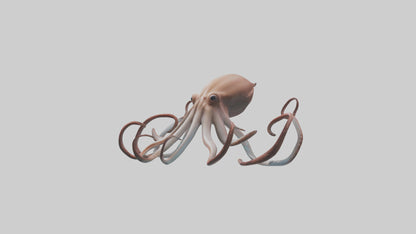 3D model Giant Squid gliding model VR / AR / low-poly