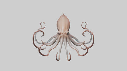 3D model Giant Squid gliding model VR / AR / low-poly