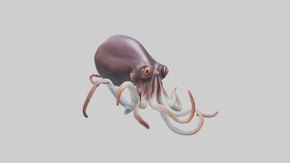 3D model Giant Squid propelling model VR / AR / low-poly