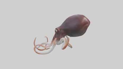 3D model Giant Squid propelling model VR / AR / low-poly